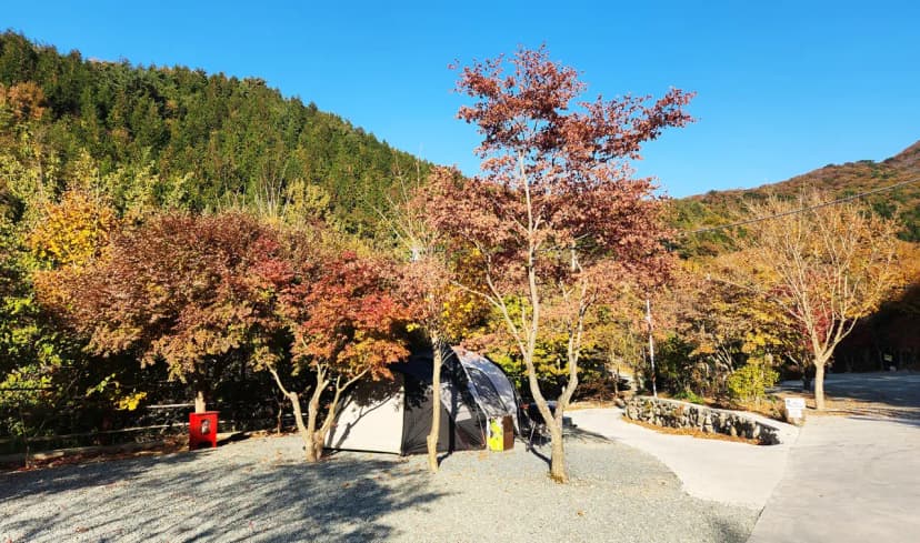 복골캠핑장 사진 8