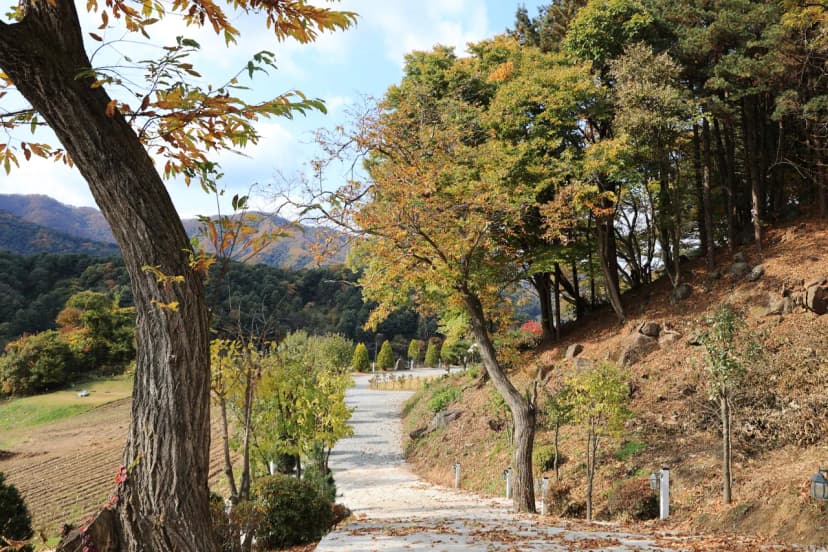 금동휴양림캠프2 사진 3
