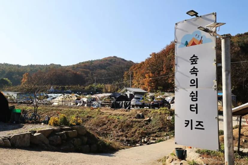 숲속의쉼터 키즈 사진 2
