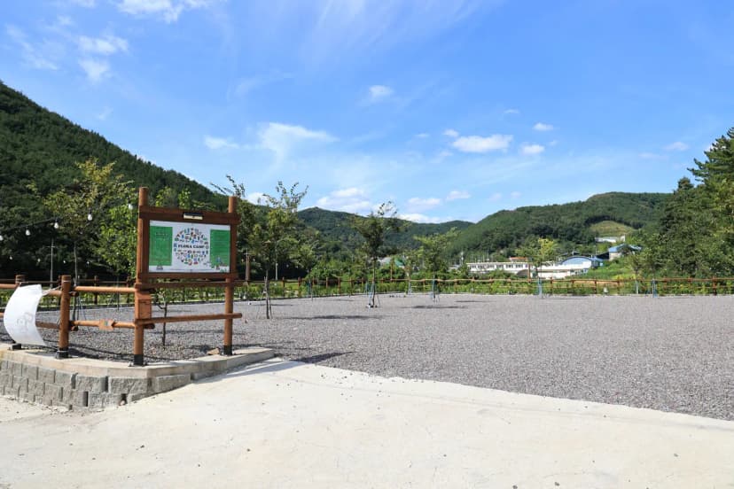 플로라 캠프 사진 17
