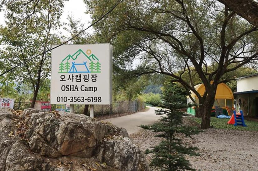 오샤 사진 2