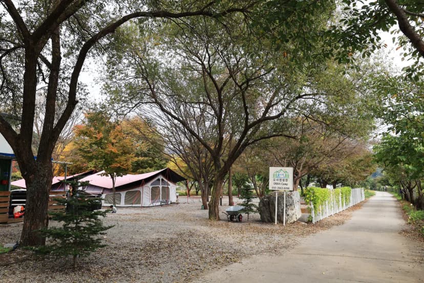 오샤 사진 6