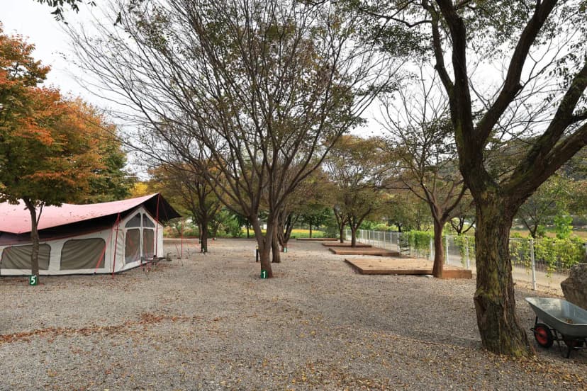 오샤 사진 11