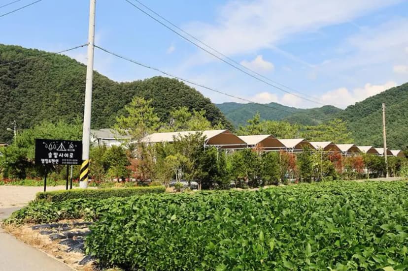 올캠프(ALL camp)