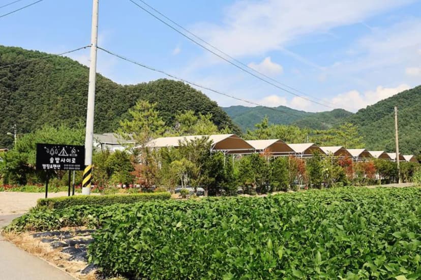 올캠프(ALL camp) 사진 3
