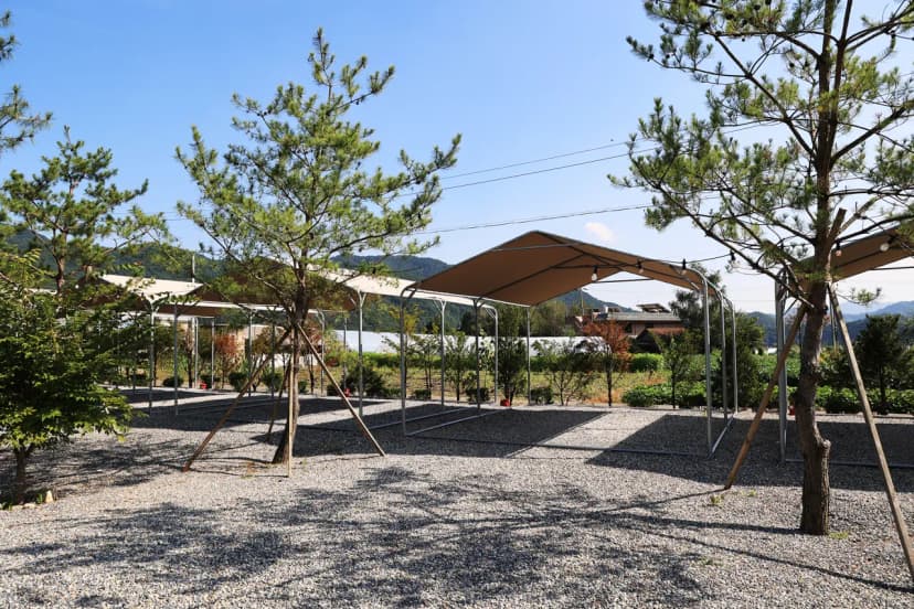 올캠프(ALL camp) 사진 4