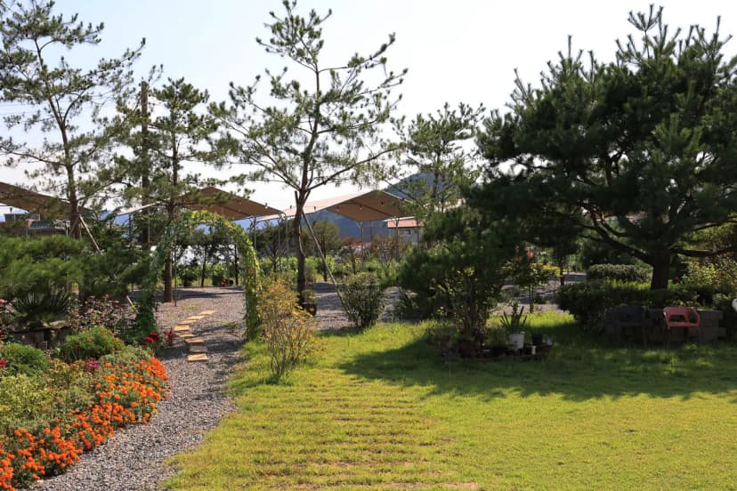 올캠프(ALL camp) 사진 8