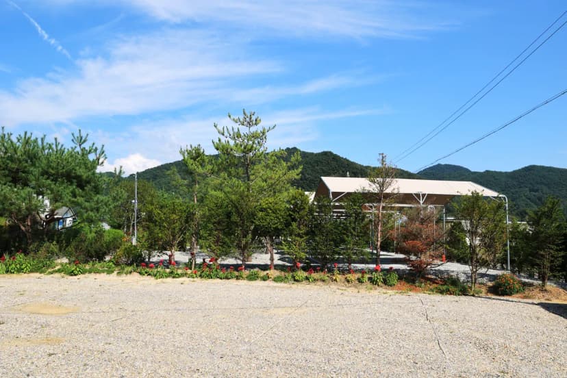 올캠프(ALL camp) 사진 13