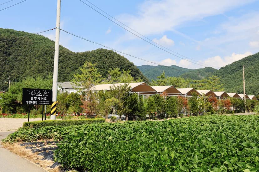 올캠프(ALL camp) 사진 17