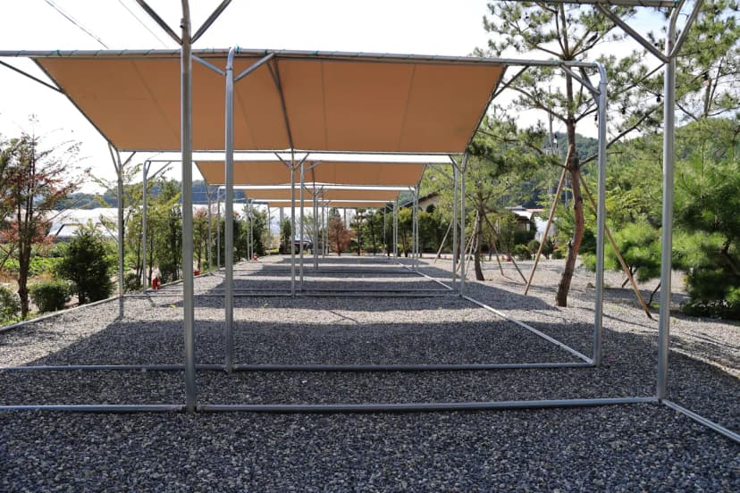 올캠프(ALL camp) 사진 20