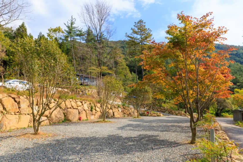 상사호 오토 캠핑장 사진 14