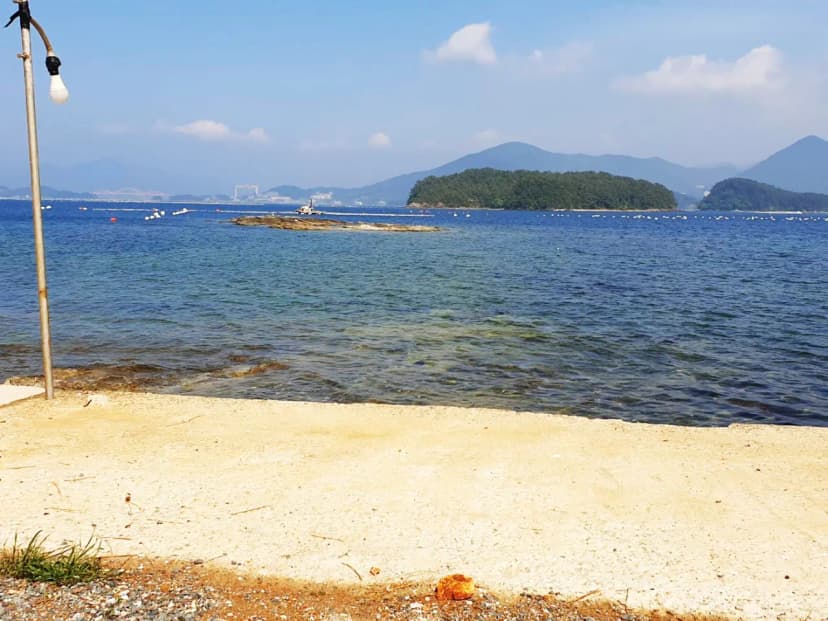 대권오토야영캠핑장 사진 9
