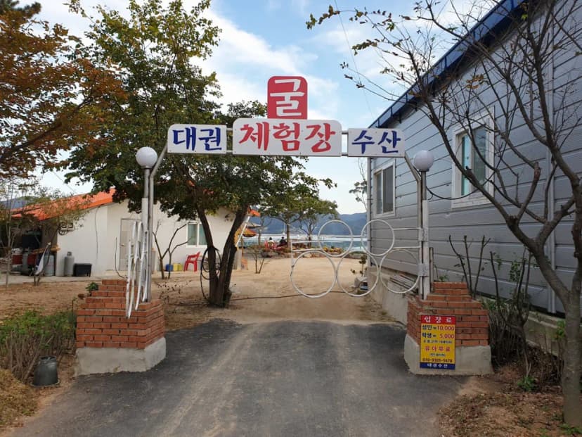 대권오토야영캠핑장 사진 11