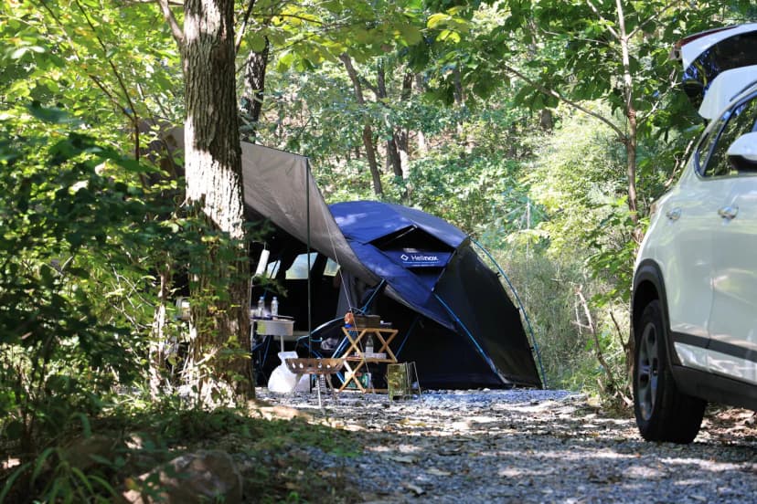 춘천 더숲 캠핑장 사진 19