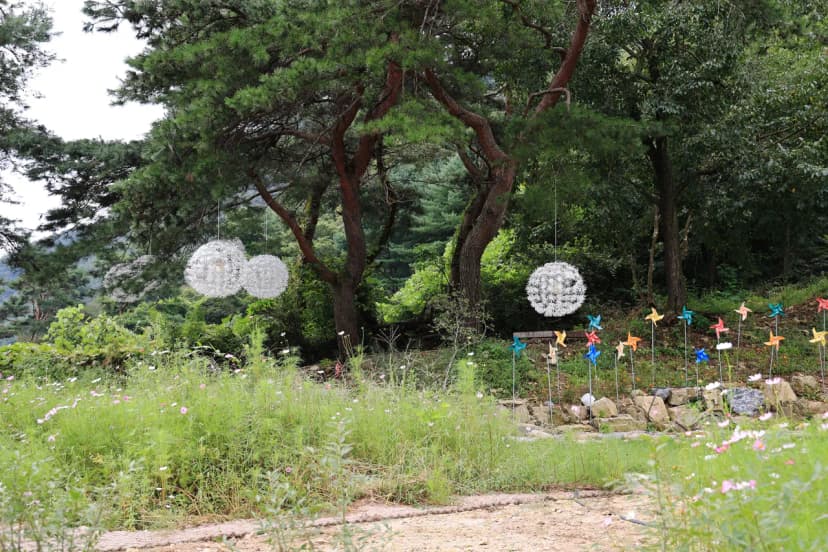 숲 나들이 야영장 사진 4