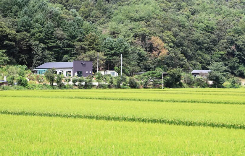 숲 나들이 야영장 사진 15