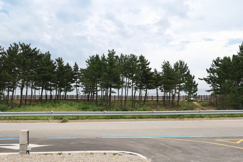 아라캠프 사진 5