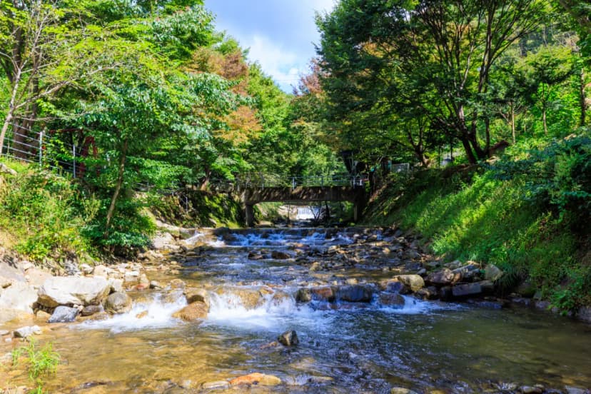 옥당걸숲속관광농원 사진 16