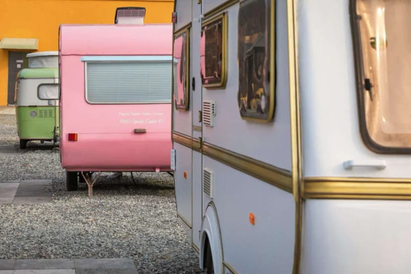초정216 사진 12