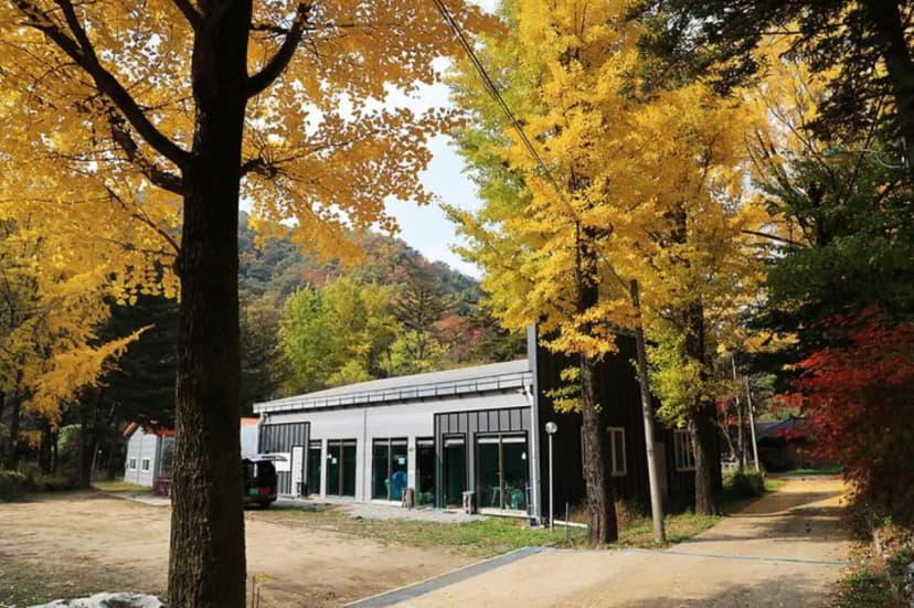 일영Star캠핑장 사진 3