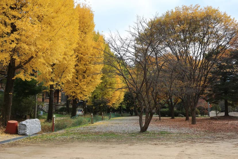 일영Star캠핑장 사진 6
