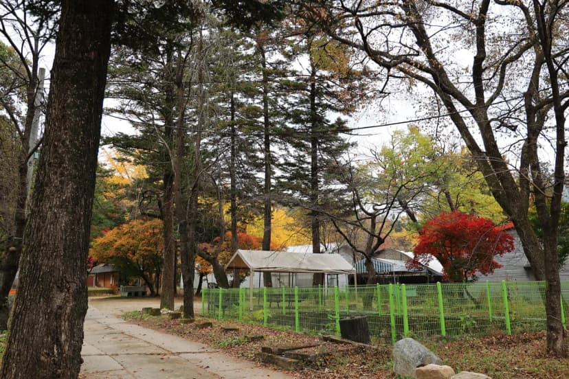 일영Star캠핑장 사진 8