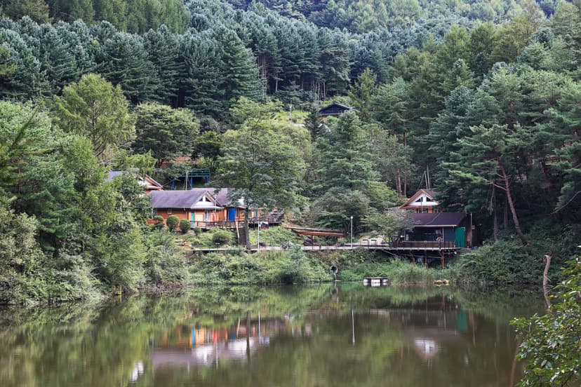 노섬브리아 야영장 사진 6