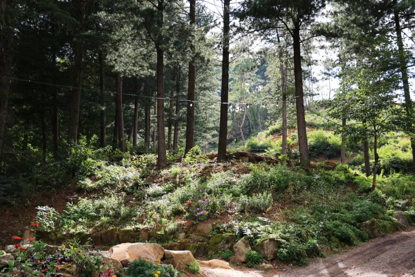 노섬브리아 야영장 사진 11