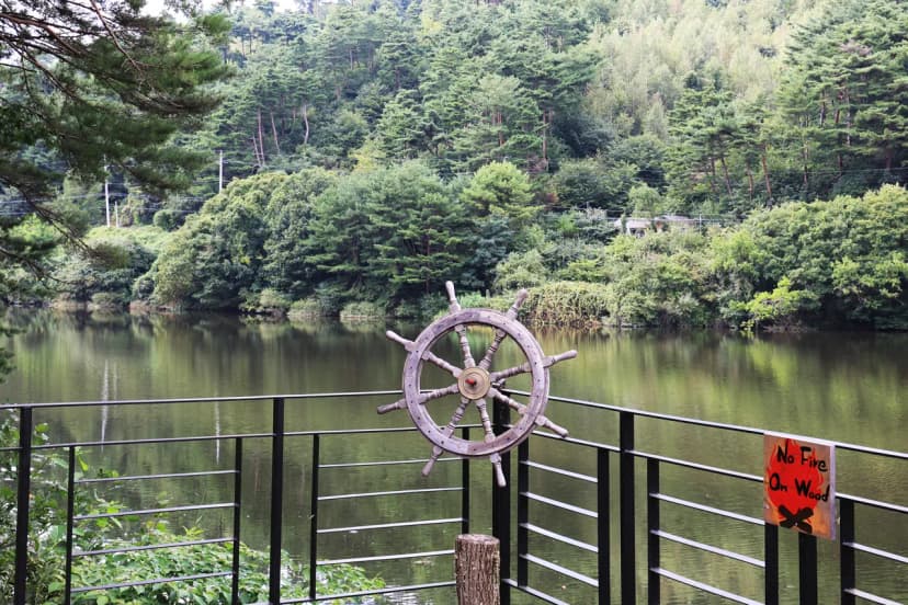 노섬브리아 야영장 사진 15
