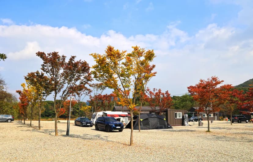 레이크202 캠핑장 사진 18