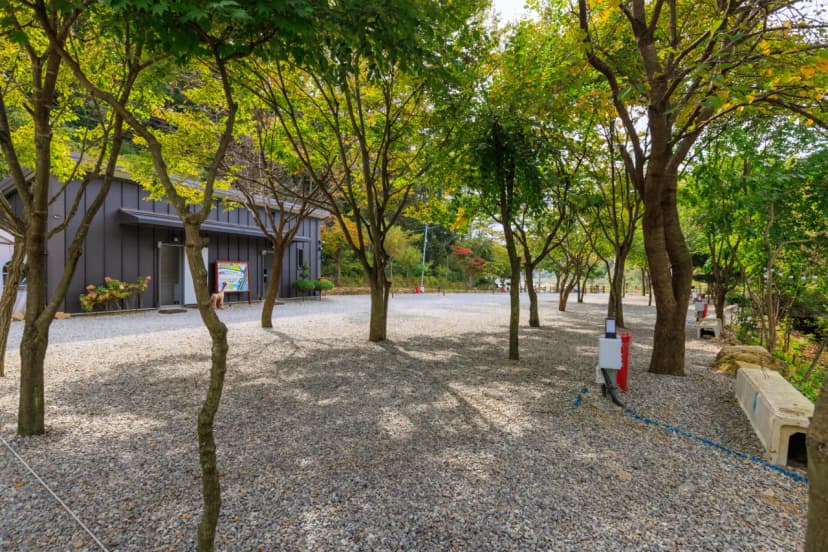 타닥타닥캠핑장 사진 21