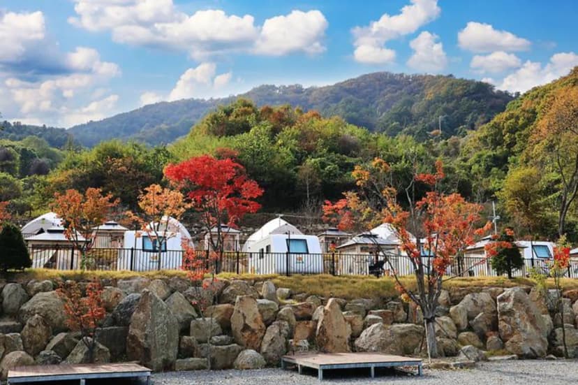 스토리숲(story숲) 사진 3