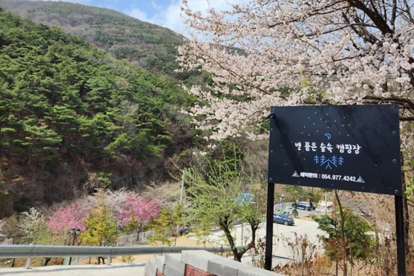 별품은 숲속 캠핑장 사진 3