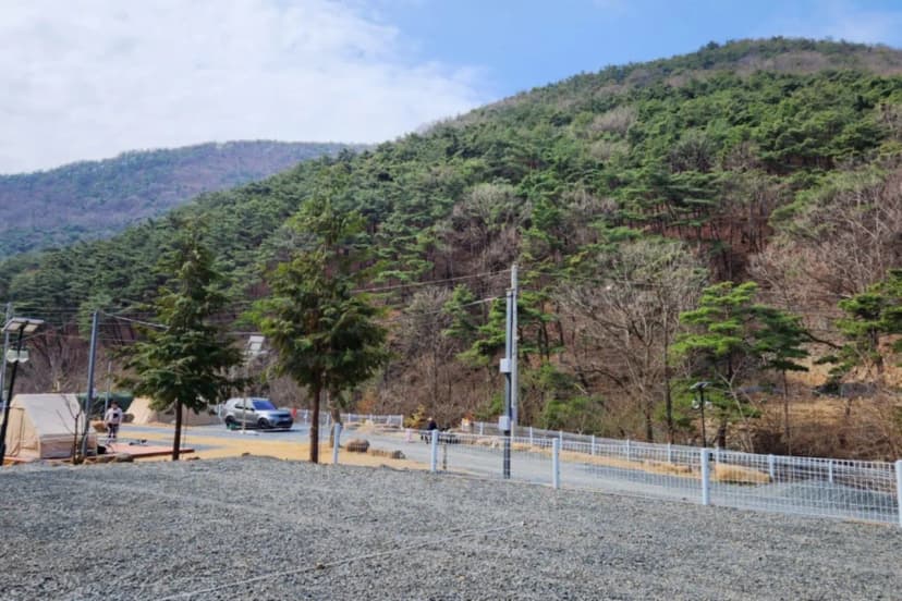 별품은 숲속 캠핑장 사진 8