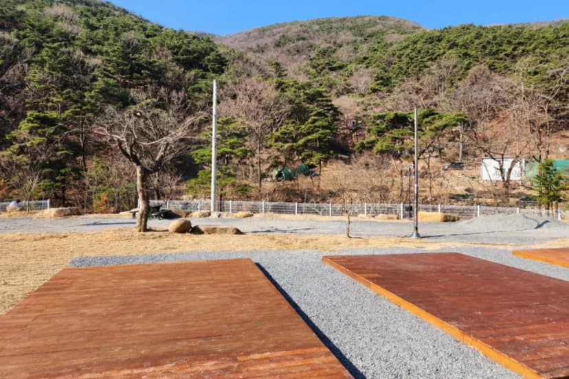 별품은 숲속 캠핑장 사진 12