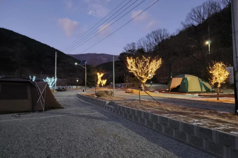 별품은 숲속 캠핑장 사진 13