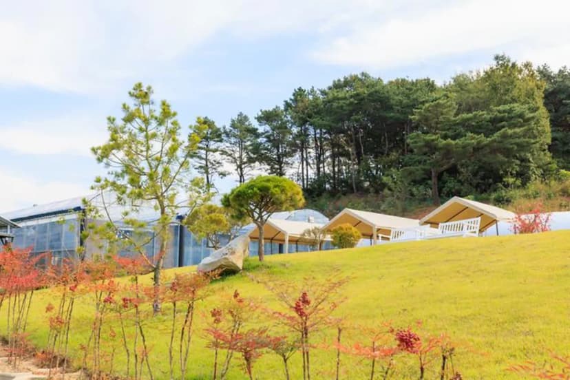 세제골농원 숲속야영장 사진 3