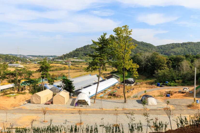 세제골농원 숲속야영장 사진 10