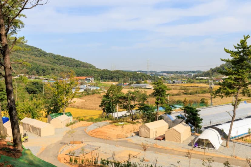 세제골농원 숲속야영장 사진 11