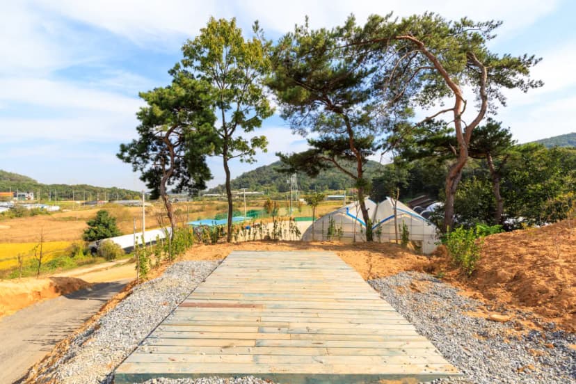 세제골농원 숲속야영장 사진 16