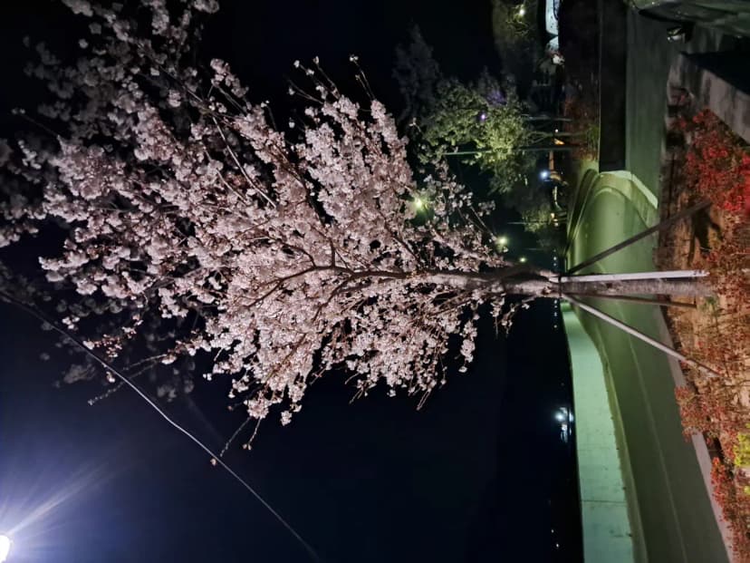 쌍근오토캠핑장 사진 8