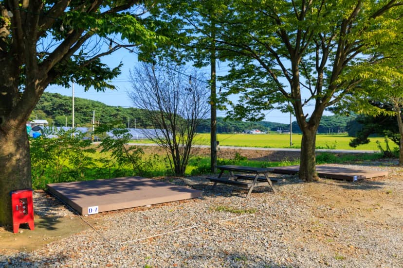안면도힐링캠핑장 사진 11