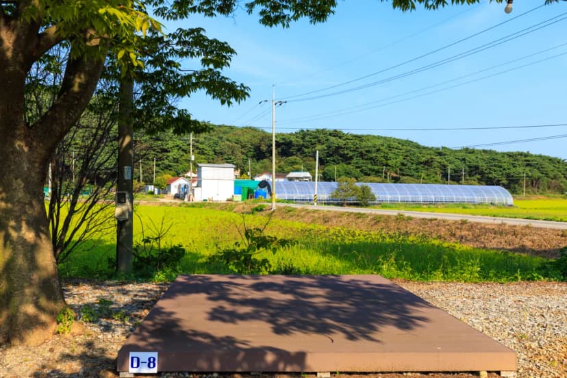 안면도힐링캠핑장 사진 16