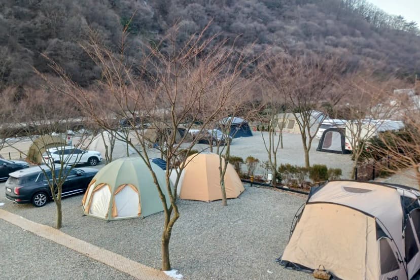 숲스토리야영장 사진 10