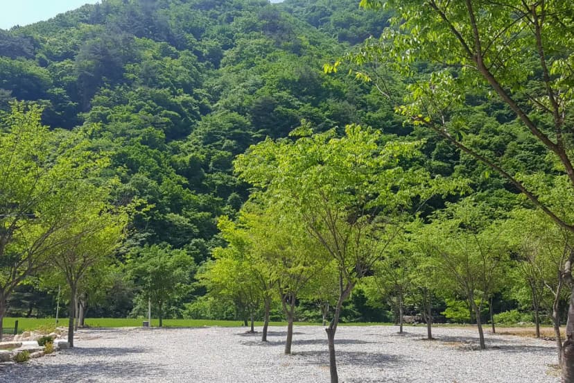 숲스토리야영장 사진 13