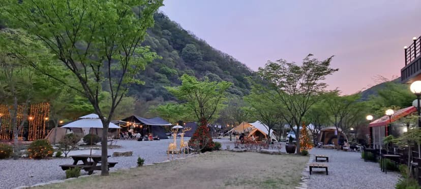 숲스토리야영장 사진 17