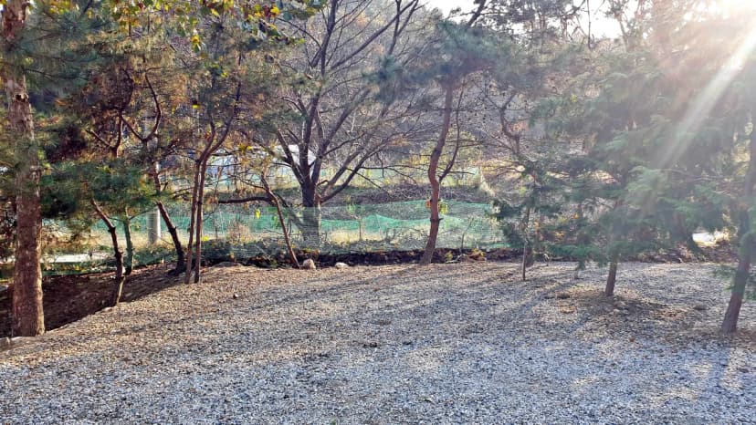 산우물 북 캠핑장 사진 13