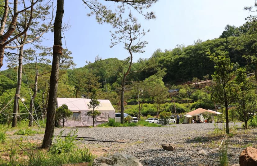 굿나잇 캠핑장 사진 15