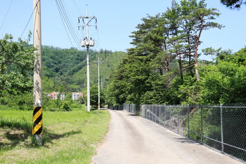 밴프 야영장 사진 12