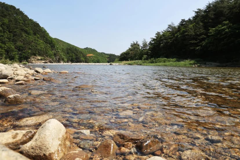 밴프 야영장 사진 15